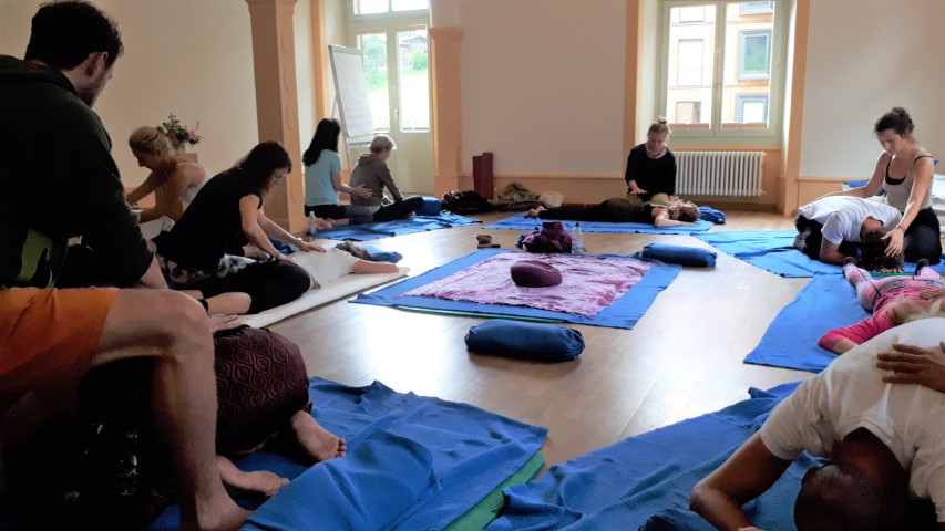 Anthony teaching Sei Ki in Switzerland